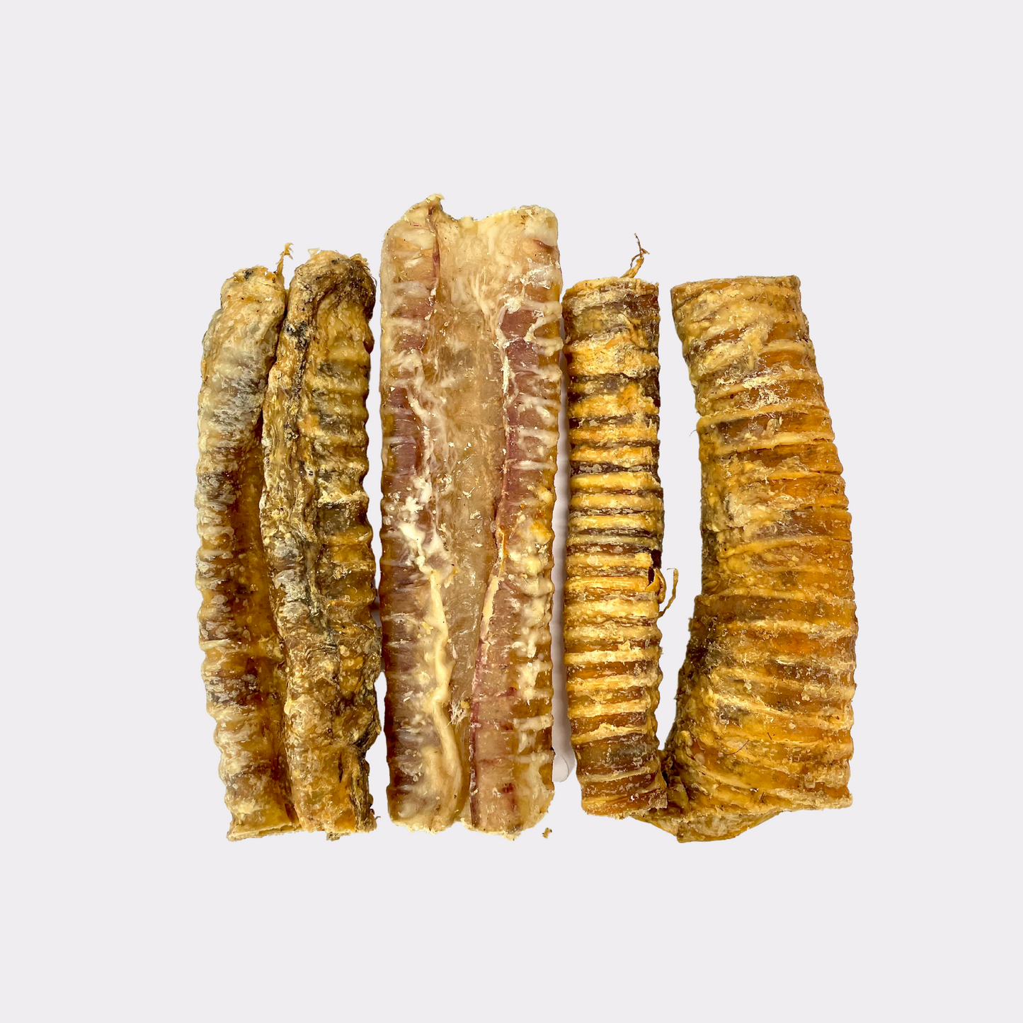 The Crunchy Connoisseur - Paw Parcels Subscription