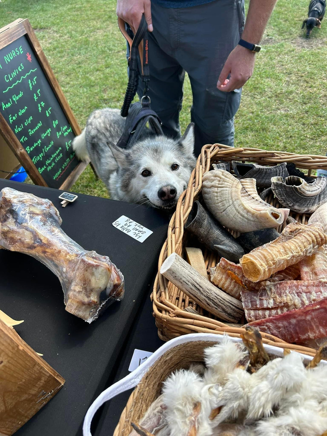 So what’s so good about your pet treats?
