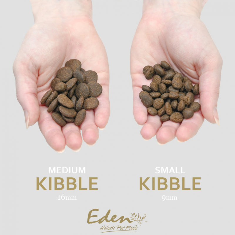 Eden 80/20 Fish Cuisine small bite size kibble
