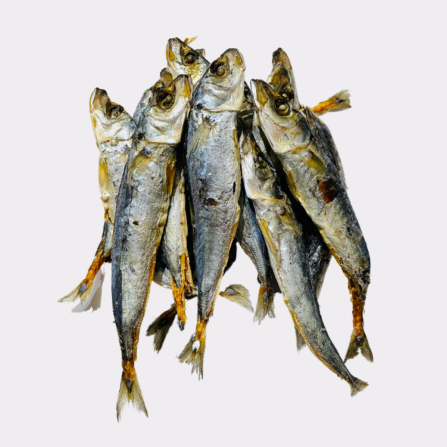 The Fish Fiend - Paw Parcels Subscription