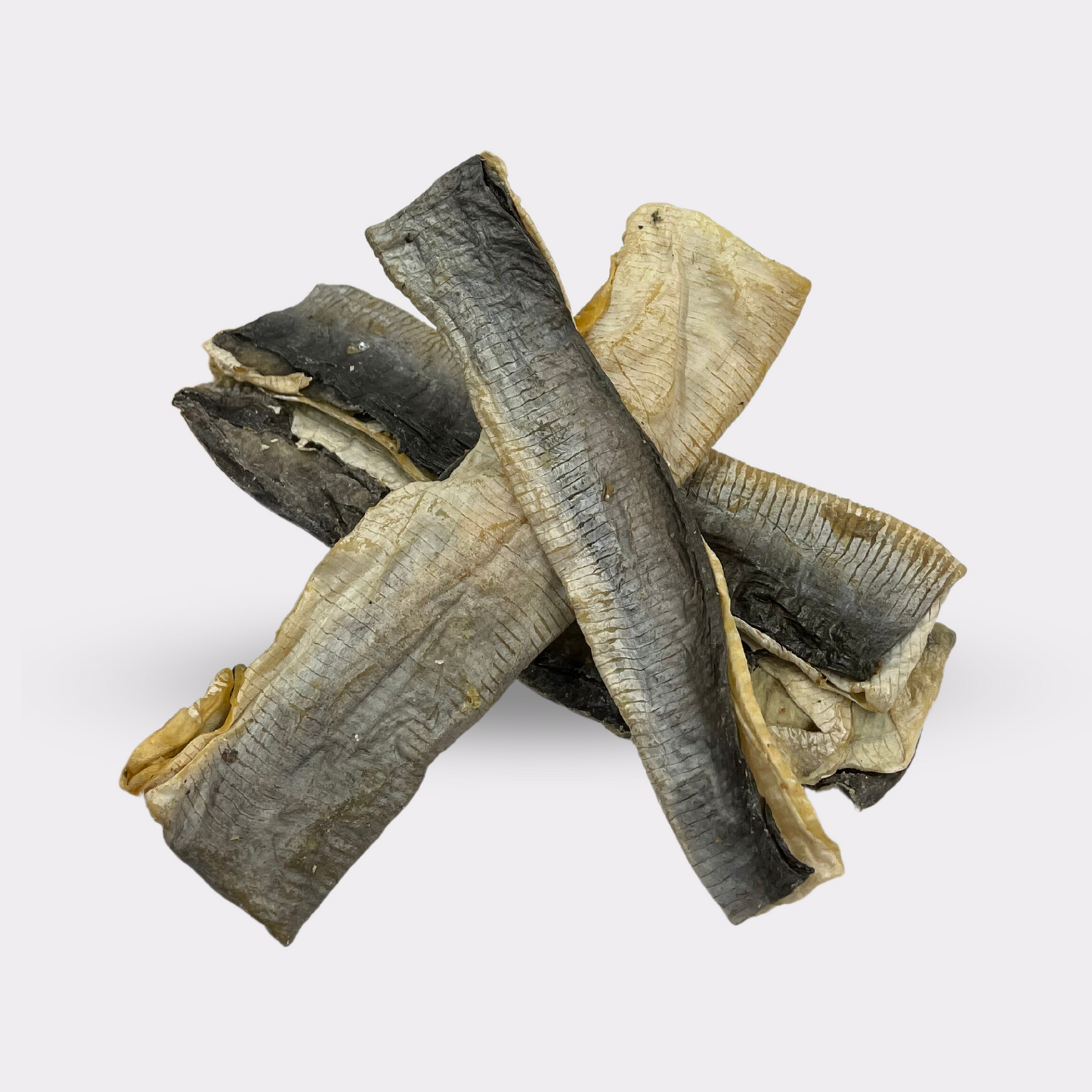 The Fish Fiend - Paw Parcels Subscription