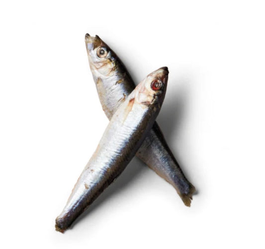 Nutriment Frozen Sprats 1kg