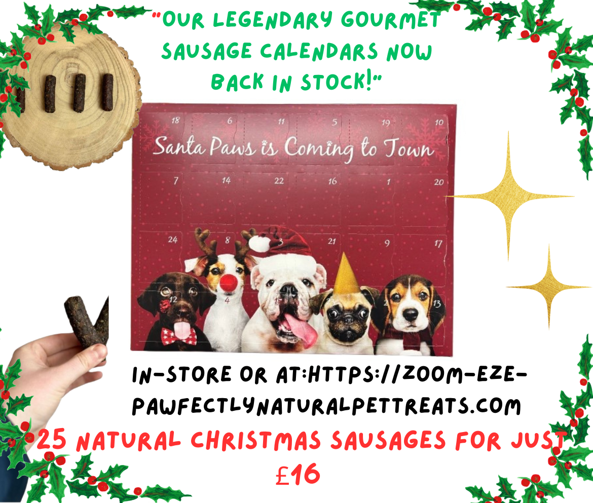 The Doggylicious Sausage Delight Advent Calendar | 24 Days of Artisan Natural "ZOOM-eze” Inducing Duck, 3 Bird & Turkey Treats for Dogs