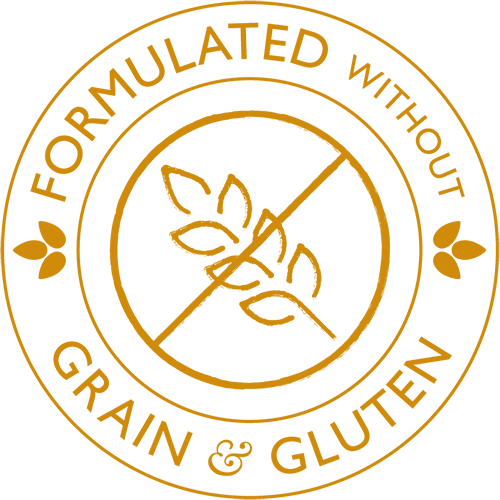 Gourmet Range Goose & Turkey 2KG